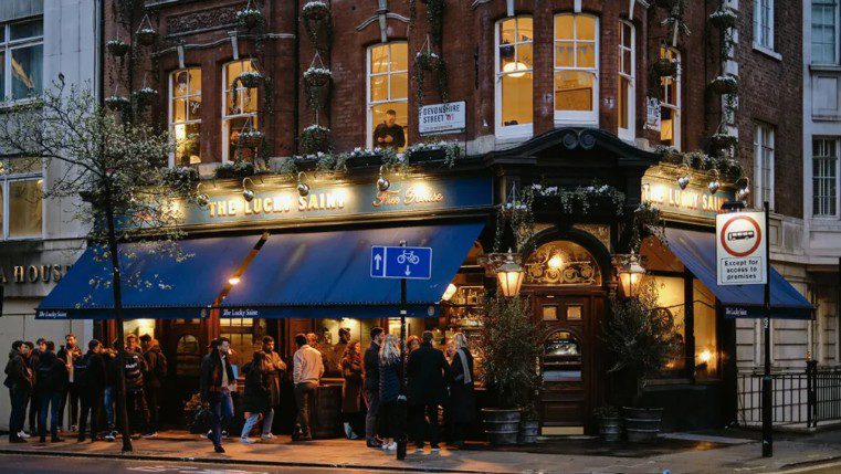 gjysme-bosh-apo-gjysme-plot