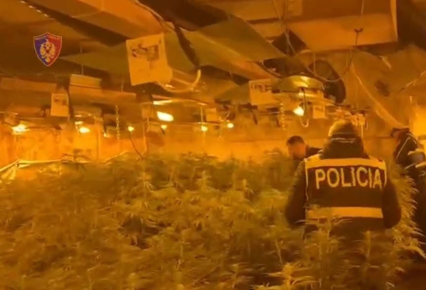  Shtëpi bari  në pronën e kreut të burgut të Rrogozhinës  pezullohen komisarë  inspektorë 